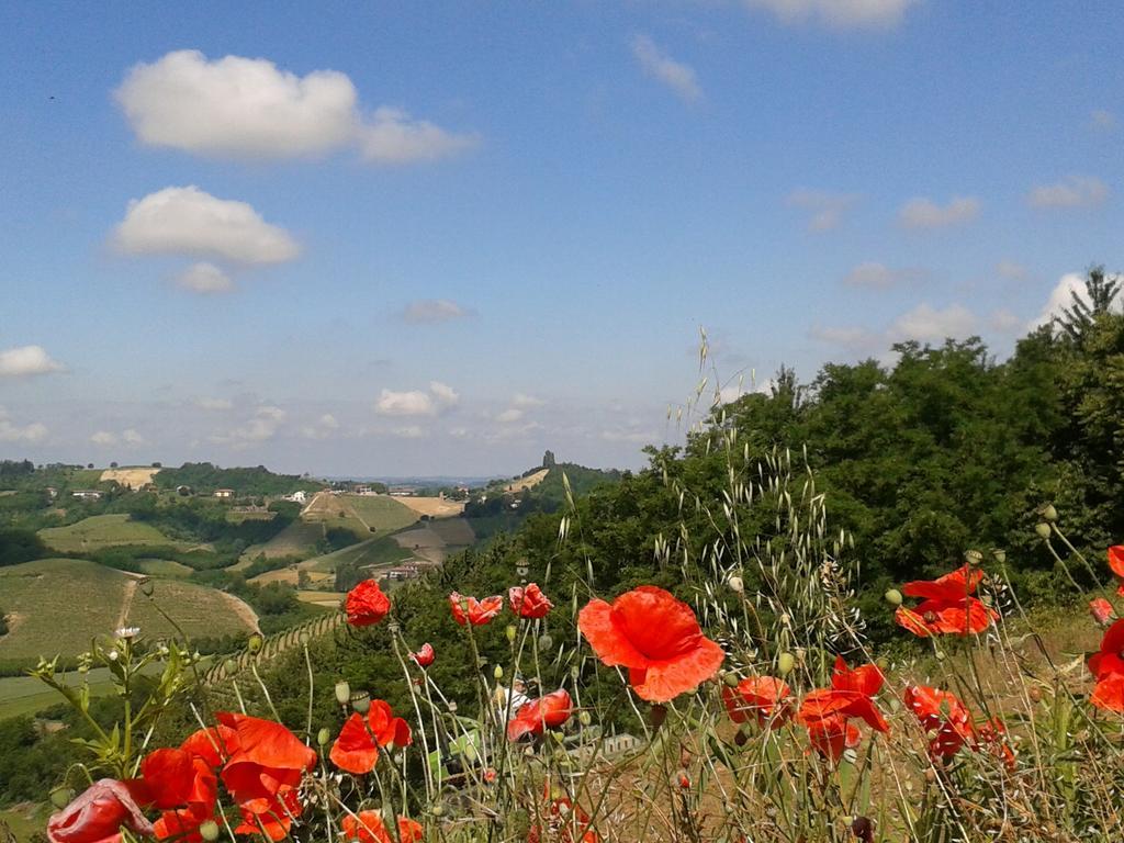 Ca D' Rot - Casa Ratti Guest House Vinchio Luaran gambar